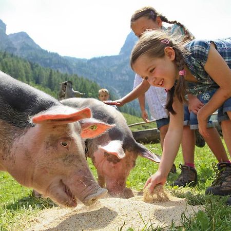 Haus Vogelmuehle Apartman Flachau Kültér fotó