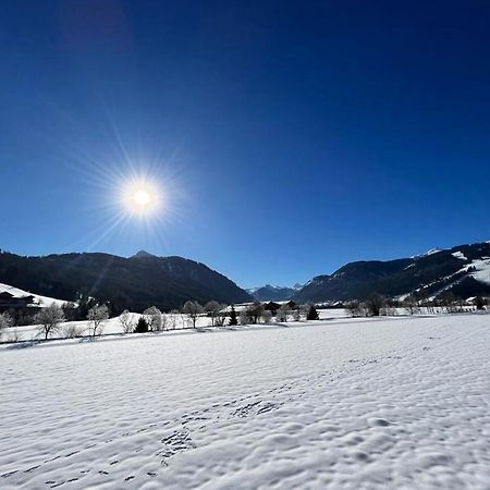 Haus Vogelmuehle Apartman Flachau Kültér fotó
